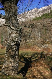 Monte Fammera