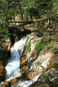 Valle delle Ferriere, Amalfi