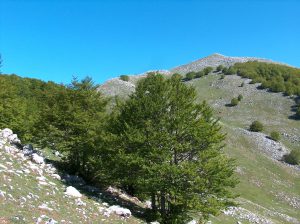 Rifugio di Iorio - Valle Carbonara