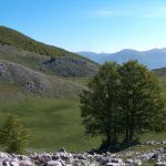 Rifugio di Iorio - Valle Carbonara