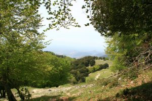 Monte Cairo