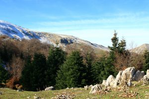 Monte Viglio